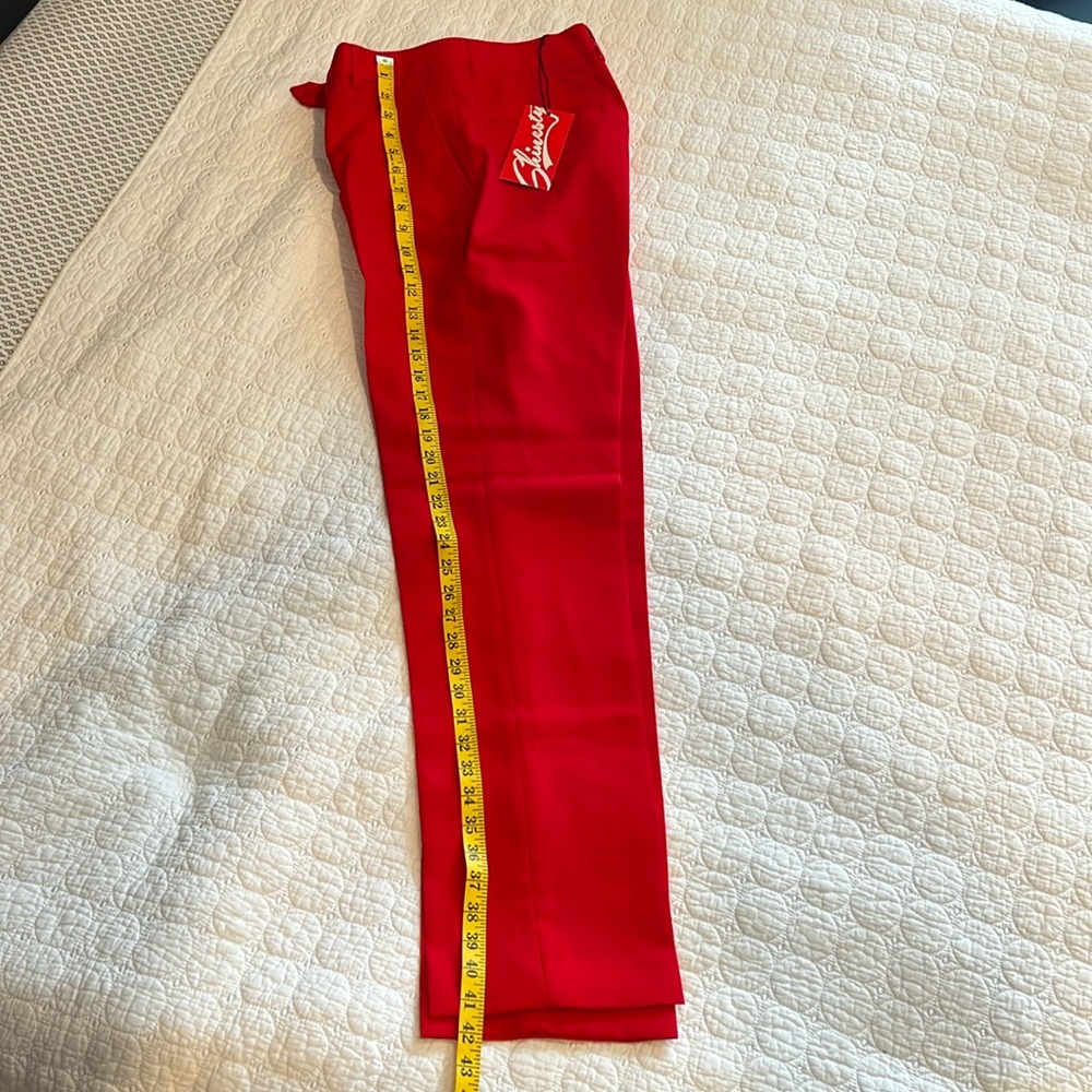 “The Red Rocket” Shinesty Pant❣️ Size 30 (Shinesty runs small - fits like 26-28)